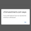 CFX INVESTMENT 