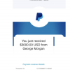 False payment