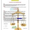 fraud loan